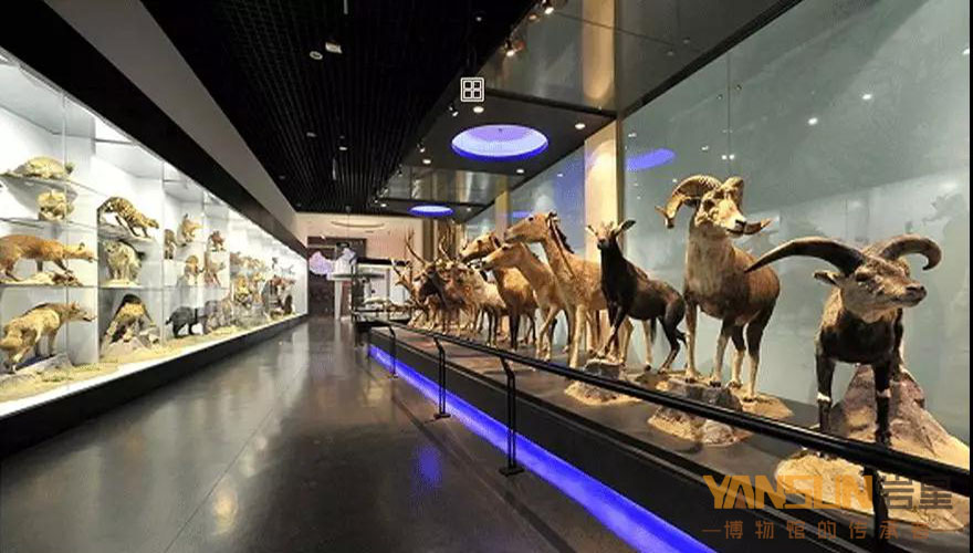 博物館展館設(shè)計(jì)方案:感受色彩對(duì)比的方法和變化的規(guī)律插圖(2) 博物館展館設(shè)計(jì)方案:感受色彩對(duì)比的方法和變化的規(guī)律插圖(2)